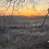 Carl Hanson - @carl.hanson1 - TikTok