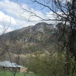 Carl Haught - @haught_42 - Instagram