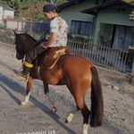 𝓣𝓲𝓸 𝓕𝓸𝔁 - @carlos_havenstein - Instagram