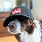 Carl Hébert - @carl.hebert.16 - Instagram