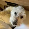 carlyheck14 - @carlyheck14 - TikTok
