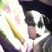 Carlee Heffner - Facebook