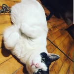 Carl Hefty - @heftycarl - Instagram