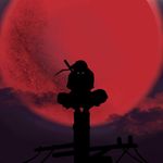 Carl Heidenreich - @carlheidenreich - Instagram