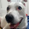carlaheilmann639 - @carlaheilmann639 - TikTok