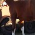 Carla Hepler - Facebook