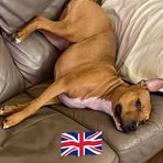 Carl Herbert - Facebook