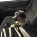 Carl Herring - Facebook