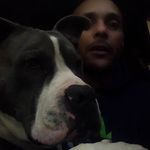 Carl Hibbert - @calhibb1 - Instagram