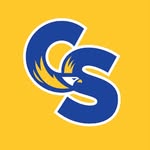 Carl Sandburg High School - @sandburgeagles - Instagram