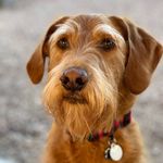 Carl Holder - @carl.the.doodle - Instagram
