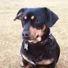 carlaholder5451 - @carlaholder5451 - TikTok