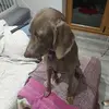 Carl Holmes - @carl.holmes19 - TikTok