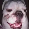 Carl Holt - @carlholt7 - TikTok