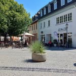 Carl_Hubert8825 - @probettting - Instagram