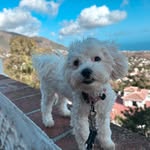 Carl Huff - @gavgaspenano - Instagram