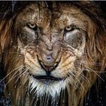 Carl Hurd - @hollywood__954_ - Instagram