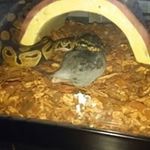 Carl Knowles - @carlknowlessr - Instagram