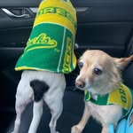 Carl and Dottie Kramer - @carlanddottie - Instagram