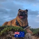 Carl Laird-Smith - @carllairdsmith - Instagram