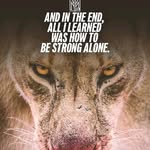 carl lambert - @carllambert98 - Instagram
