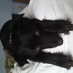 Carl Latham - @carl.latham.547 - Instagram