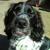 Carl Latham - @carl.latham7 - TikTok