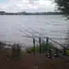 Carl Latham - @carl.latham - TikTok