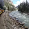 carlalathamcampbe - @carlalathamcampbe - TikTok