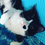@carl_tracey_lilly - Instagram