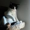 Carl Long - @carl.long2 - TikTok