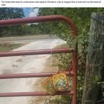 Carl Lundy - @lundy.carl - Instagram