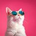 Carl Jayson Maines - Facebook