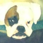 Carl Major - @crm1971 - Instagram