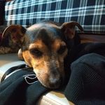 Carl Manning - @carlmanning78 - Instagram