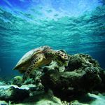 Carl Manning - @west_view_m - Instagram