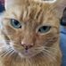Carl Mapes - Facebook