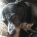 Carl Mapes - Facebook