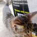 Carl Maranan - Facebook