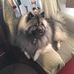 Carl Marcil - Facebook