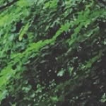 @carl.markerson - Instagram