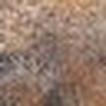 Carl Markowski - @markowskicarl - Instagram