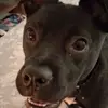 Carl McDaniel - @carl.mcdaniel - TikTok