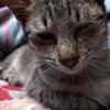 Carl McQueen - @carl.mcqueen3 - TikTok