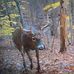 Carl Meisner - Facebook