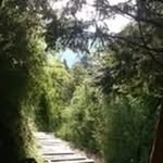 Carl Meng - @carl.meng - Instagram