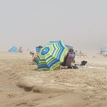 Carl Moses - @carlmoses60 - Instagram
