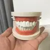 CarlMoses - @user9094803015635 - TikTok