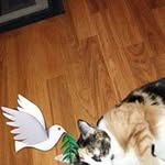 Carl Nash - @nash_carl - Instagram