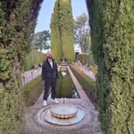 Carl Neill - @carlneill - Instagram